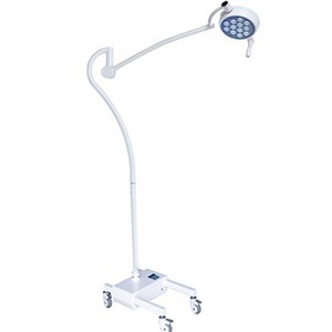 LED Exam Light